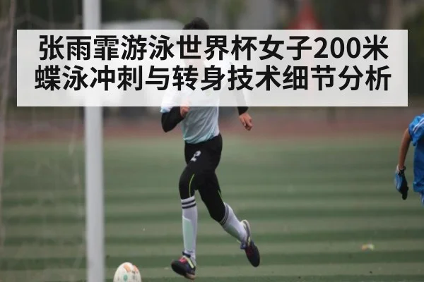 张雨霏游泳世界杯女子200米蝶泳冲刺与转身技术细节分析