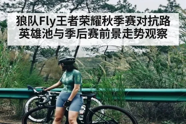 狼队Fly王者荣耀秋季赛对抗路英雄池与季后赛前景走势观察